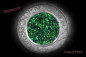 Preview: Hexenshop Dark Phönix Money Drawing Räuchermischung Anna Riva 20g